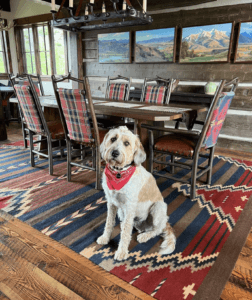 screenshot 2024 04 11 at 4.57.19 pm